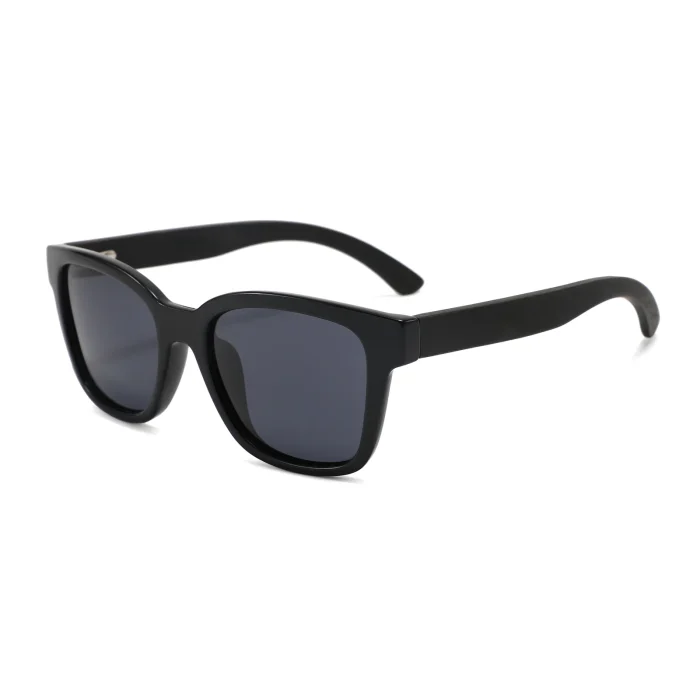 Classic Black Frame Sunglasses - Image 1